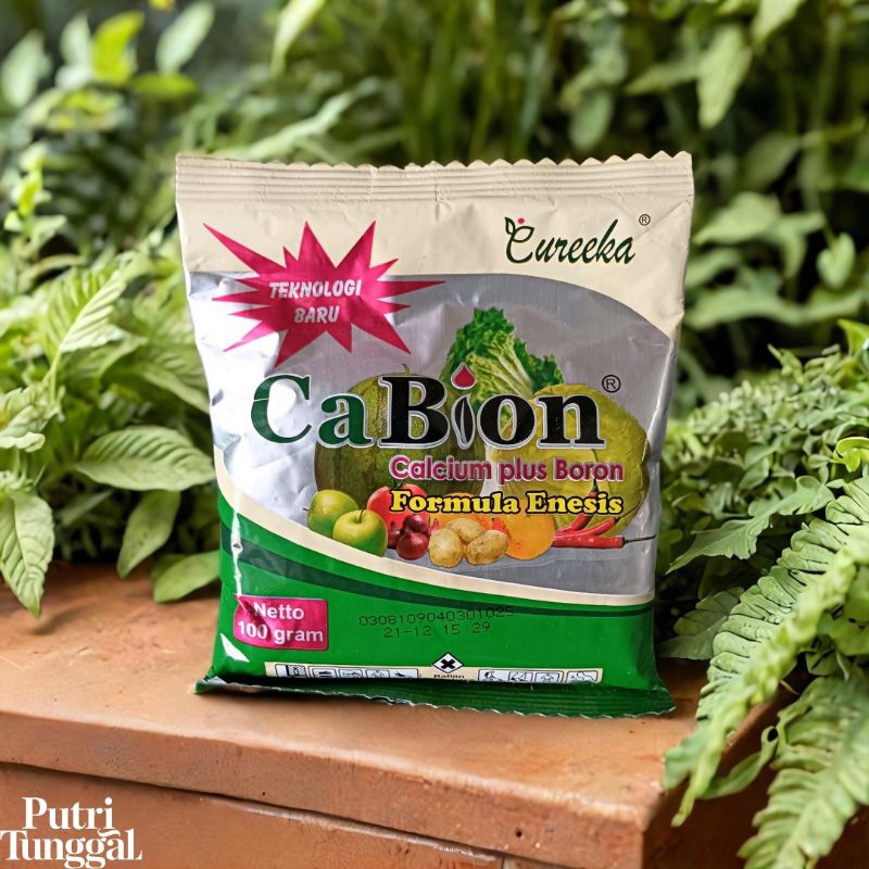 cabion calsium plus boron
