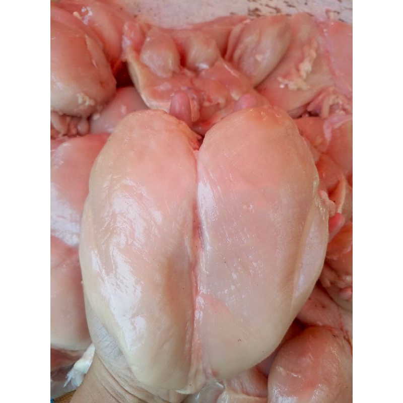 

DAGING AYAM FILET DADA/FAHA FRESH