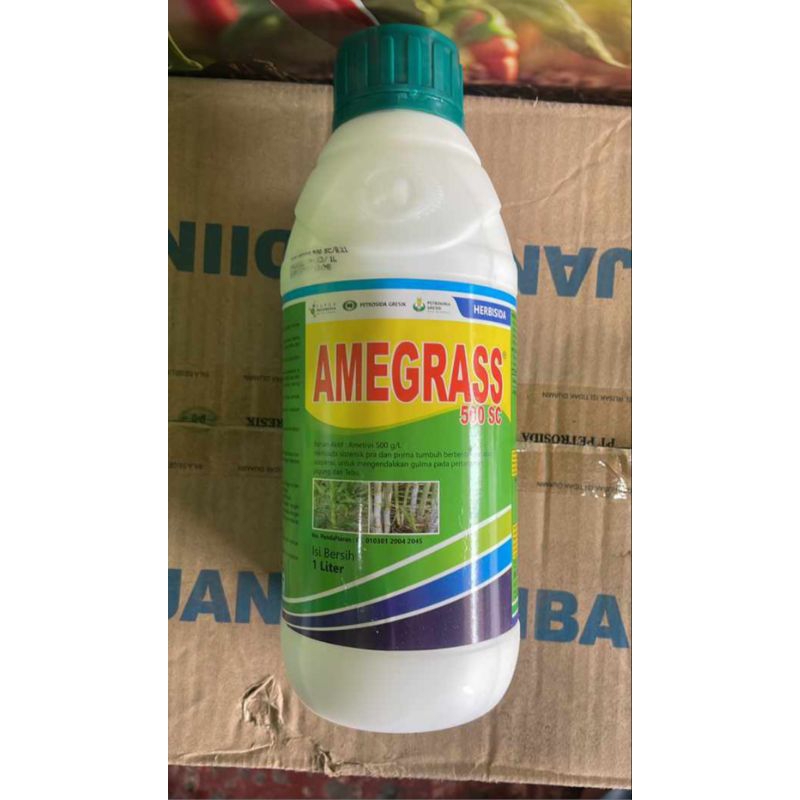 Herbisida Tebu AMEGRASS  AMEXONE 500 SC Membasmi Gula Rumput Bandel