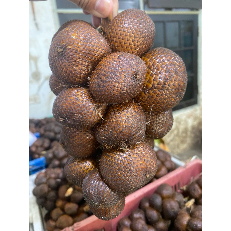 

salak gula pasir asli bali (3kg)