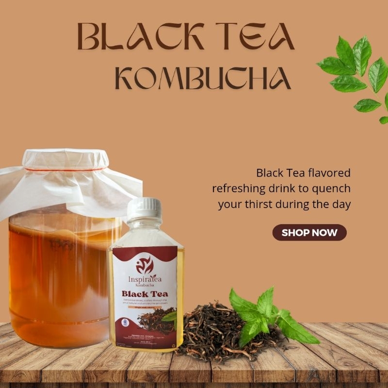 

Kombucha Blacktea 250 ml | Minuman Probiotik | Minuman Kesehatan | Teh Fermentasi by Inspiratea