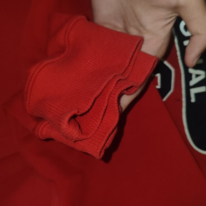 Hoodie dickies art 22 red