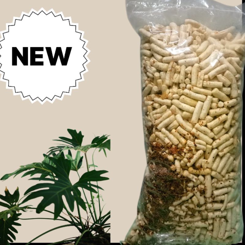 

Kerupuk Tongkol Cabe Hijau