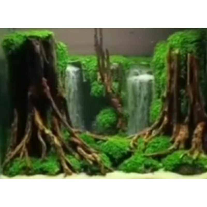 aquascape waterfall air terjun hardscape