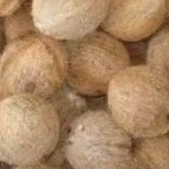 

buah kelapa tua/ 1pcs