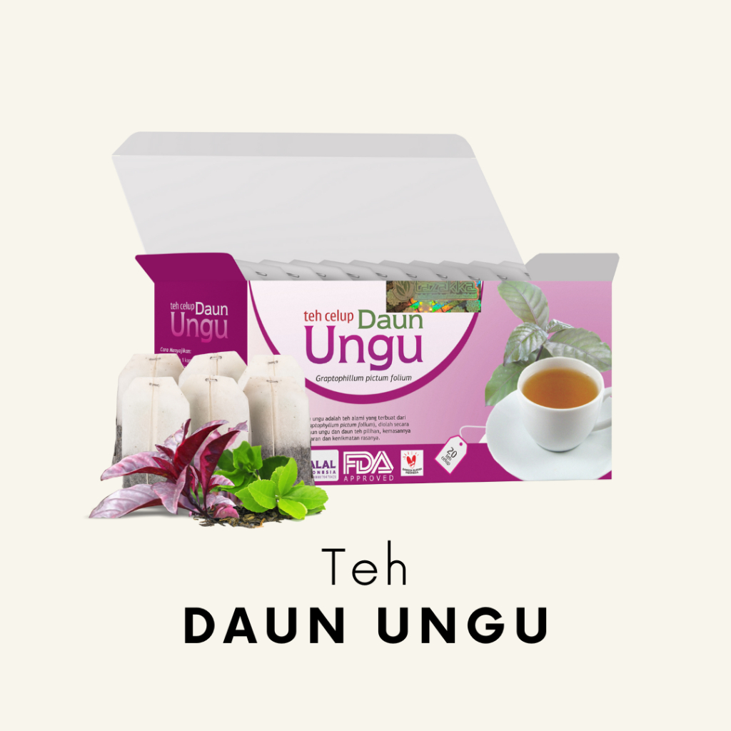 

Teh Celup Daun Ungu Grapothiillum Pictum Folium tazakka membantu meredakan wasir