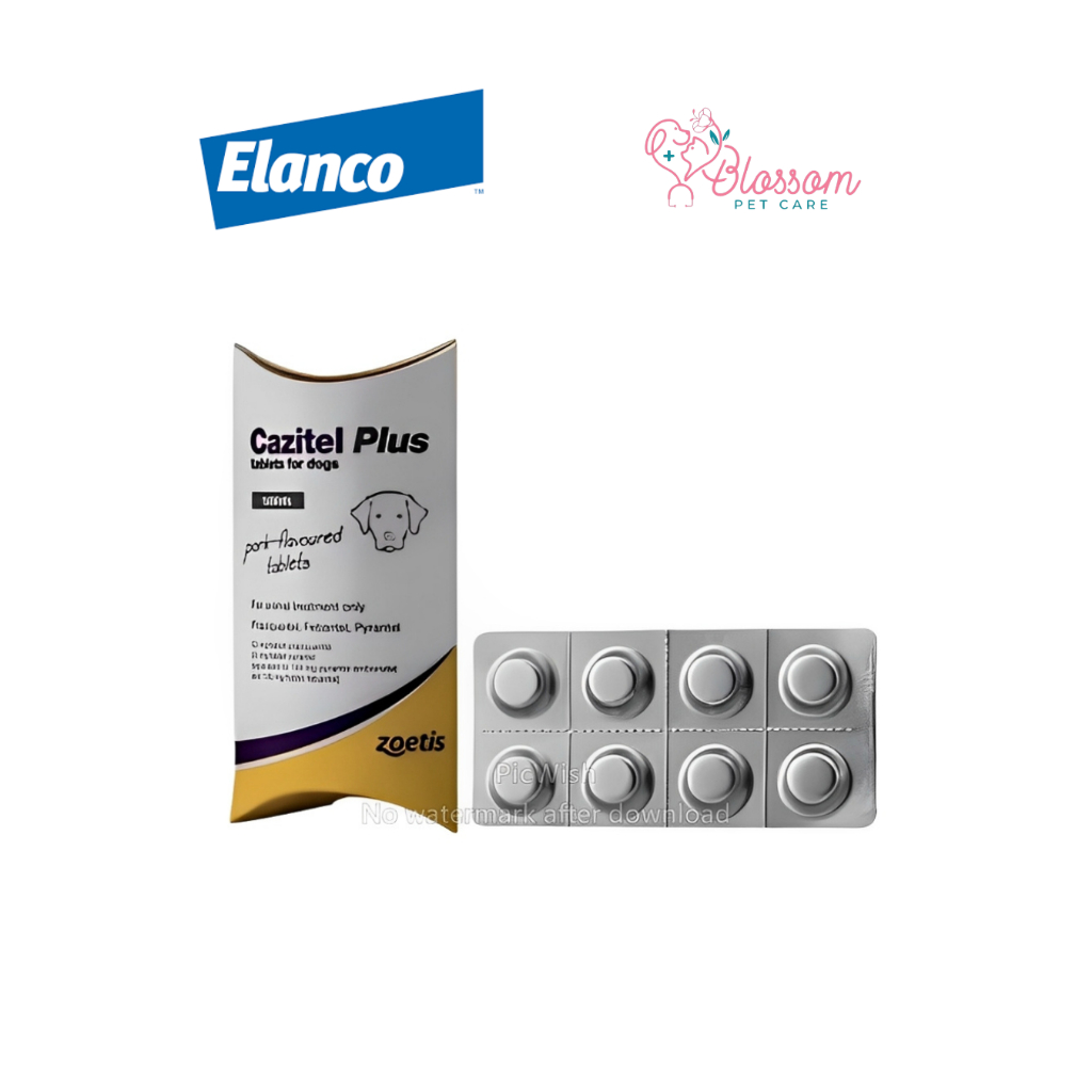 OBAT CACING ANJING CAZITEL