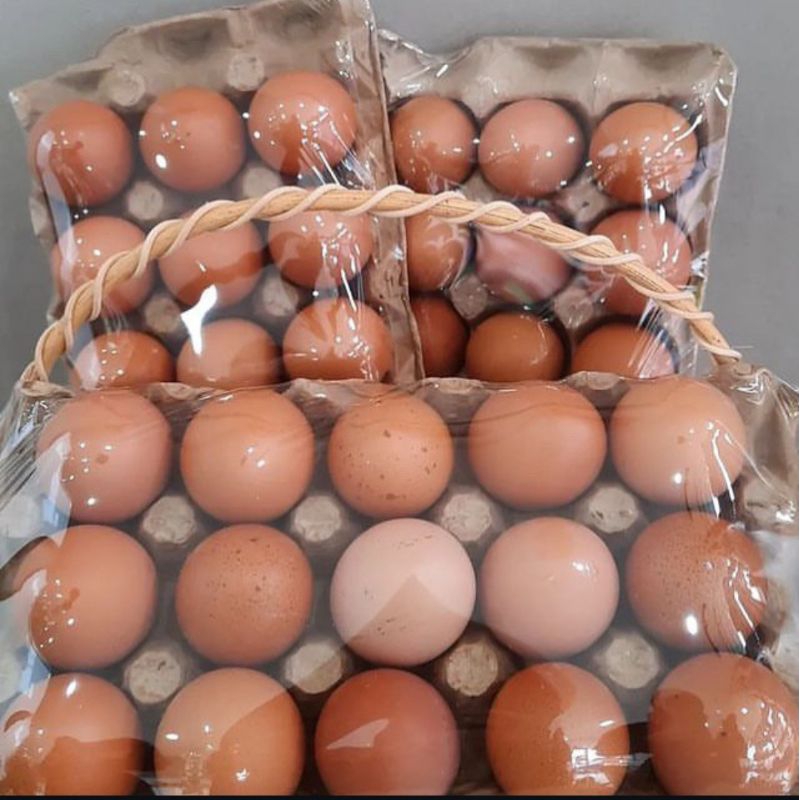 

telur ayam negeri kemasan 1 kg