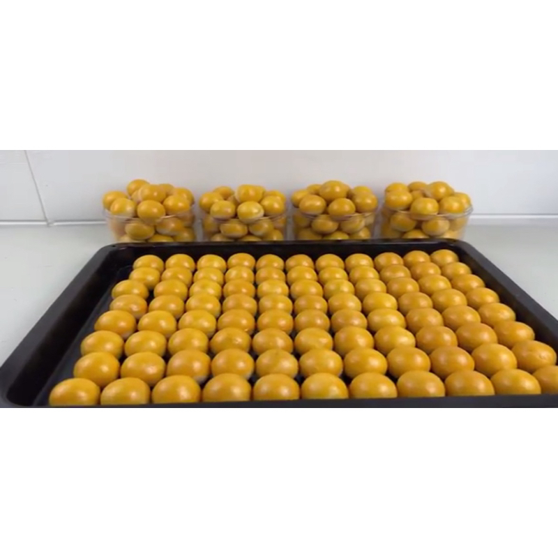 

NASTAR PREMIUM TOPLES 250gr dan 500 gr