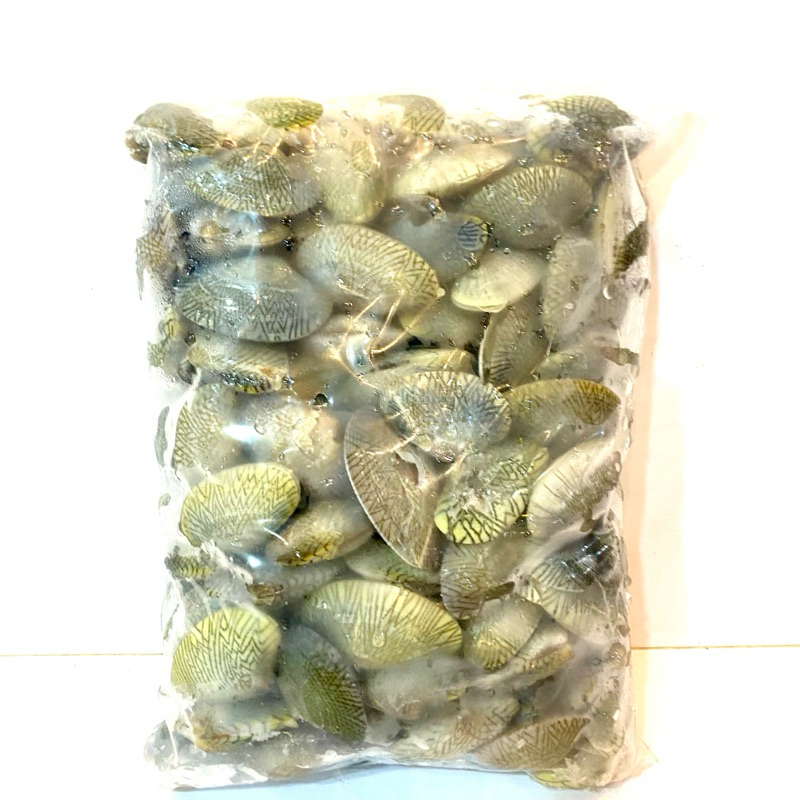 

Kepala Lala Kasar Utuh