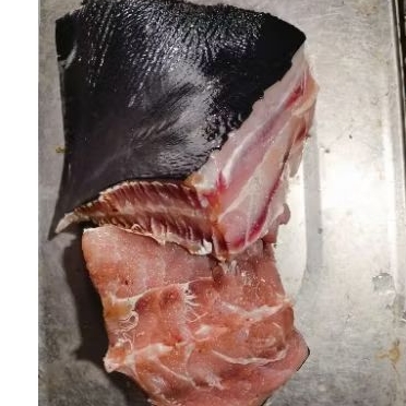 

Ikan Pari Potong