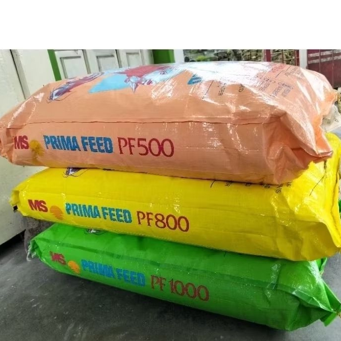 Pakan benih ikan  PF1000 PF800 PF500 (1kg)