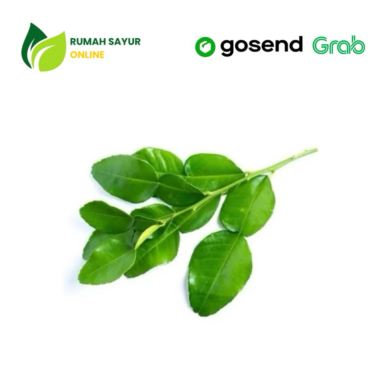 

Daun Jeruk 1 Pack 250gr | Rumah Sayur Online
