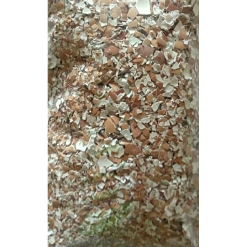 

CANGKANG TELUR AYAM BERSIH DAN TIDAK BAU 200 gram