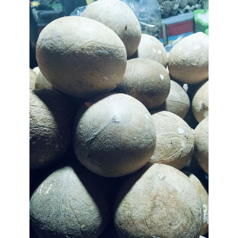 

Kelapa bulat utuh