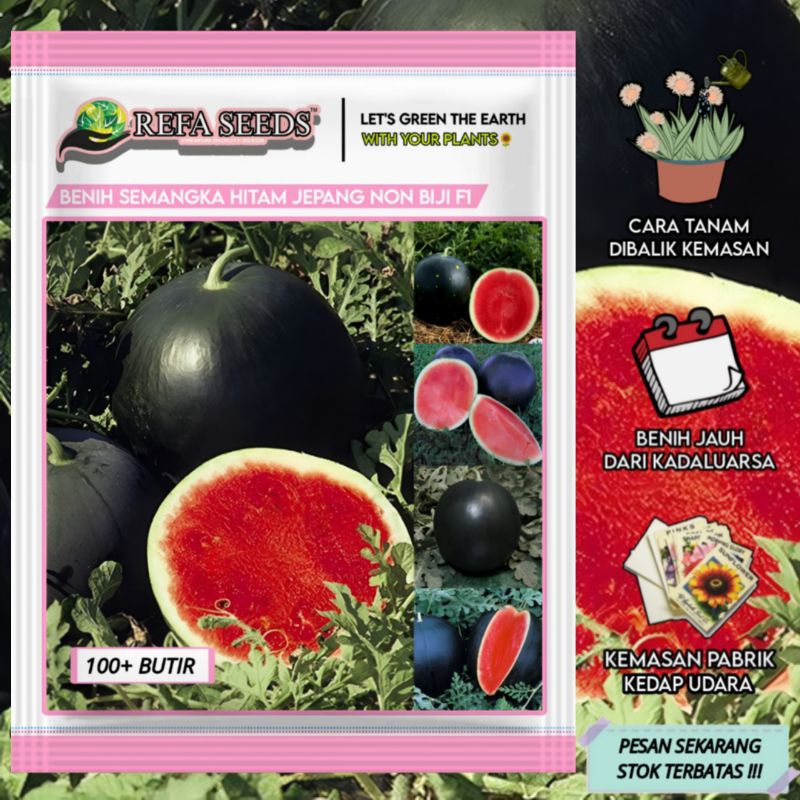REFA (100 Biji) Benih Semangka Hitam Jepang Non Biji F1 Kemasan Pabrik / Buah Semangka Hitam unik