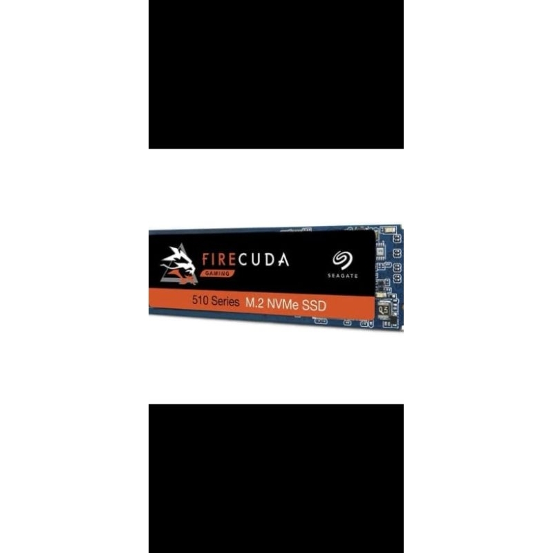 Seagate SSD Firecuda nvme 2TB