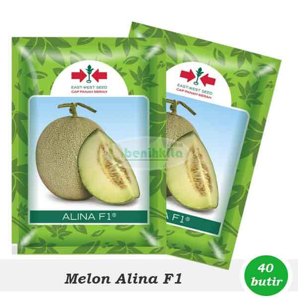 Benih Melon Alina F1 (Cap Panah Merah)