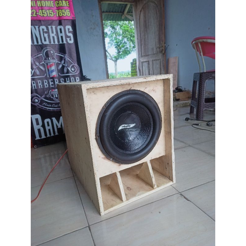 spiker 12 inch subwoofer plus box