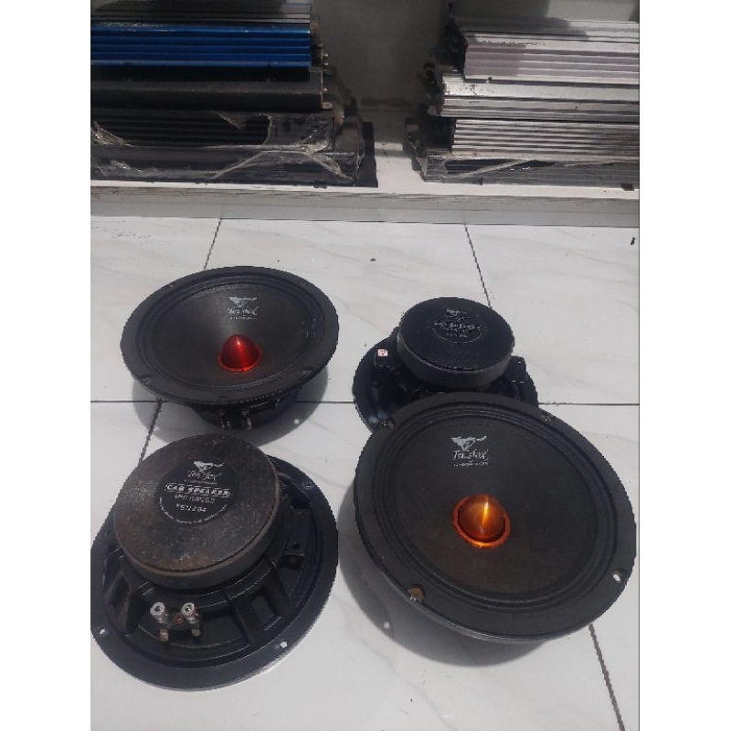 speaker tensfox 8 inch