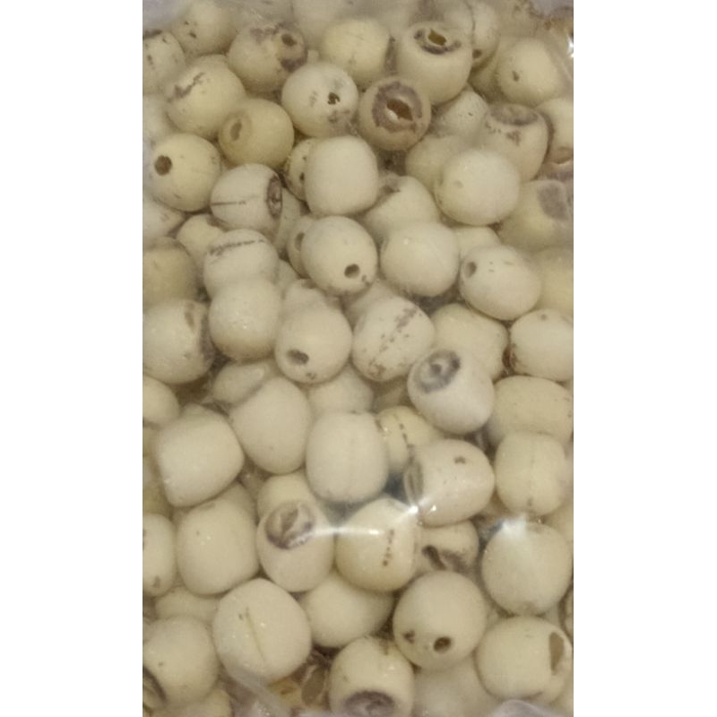 

Biji Teratai 500 gram dan 1 kg lotus seed (bisa untuk detox)