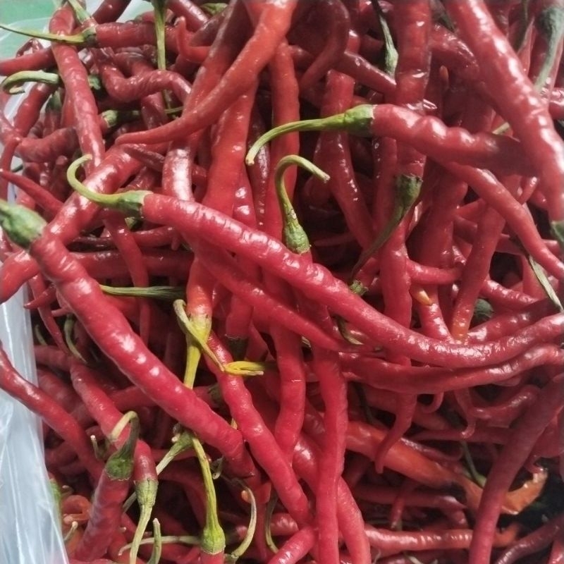 

2 kg cabe merah keriting fresh.