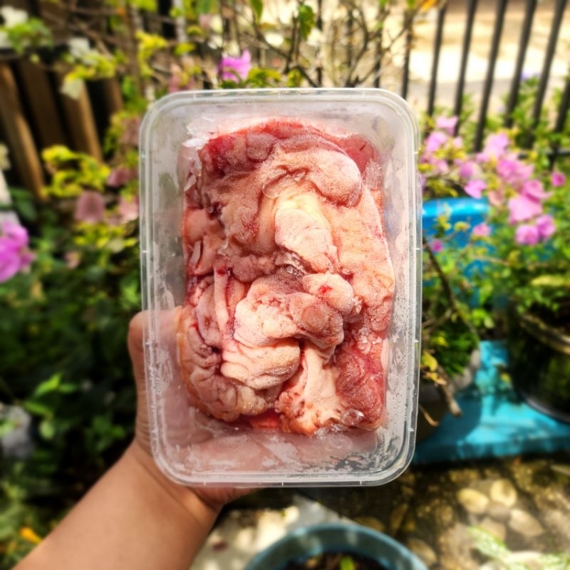 

Otak sapi bersih