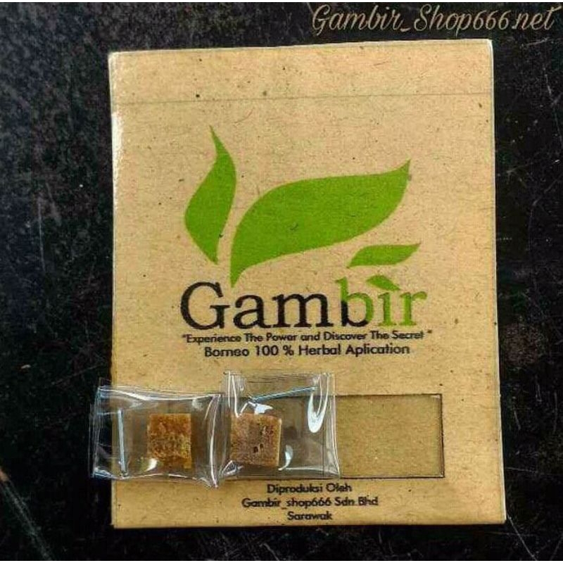 Gambir Serawak Malaysia