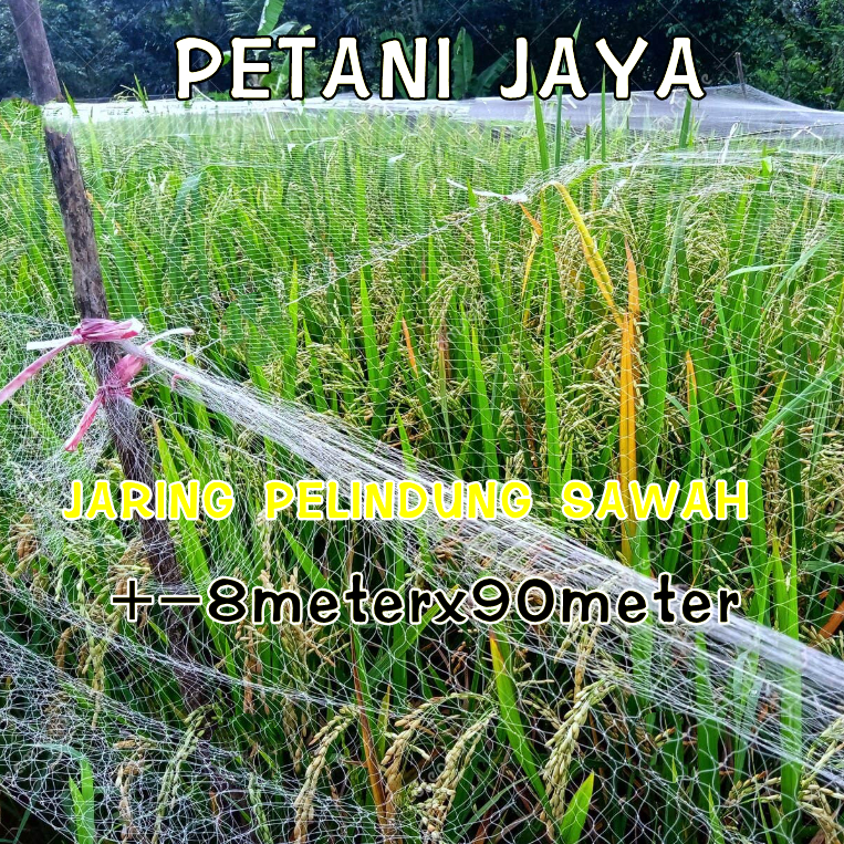 JARING PENUTUP PADI / JARING BURUNG SAWAH / JARING PIPIT / JARING EMPRIT / JARING PADI / JARING SAWA