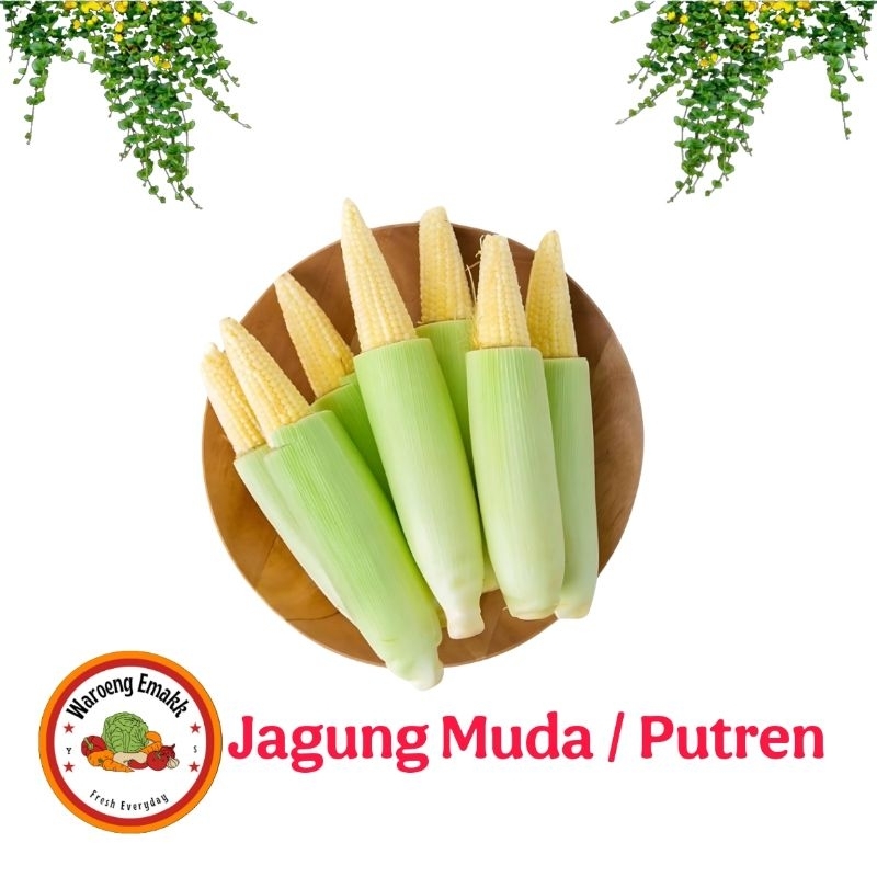 

JAGUNG MUDA JAGUNG ACAR PUTREN