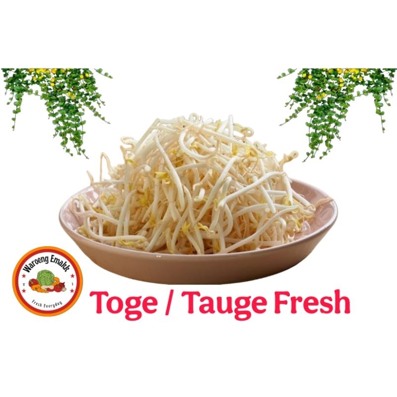 

TAUGE / TOGE FRESH