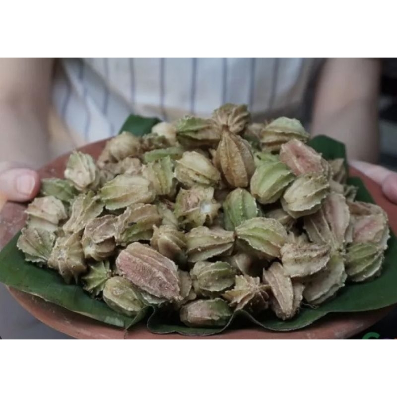 

Jual buah renggak buah wresah buah hanggasa 500 gram