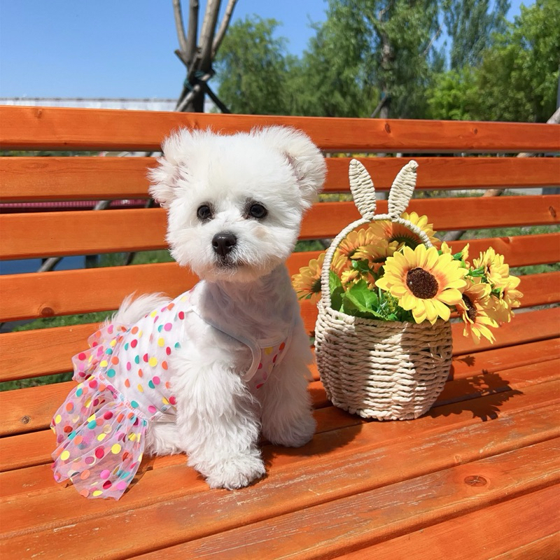 Polka Couple DA282 DA284 BAJU COUPLE ANAK BULU BAJU ANJING BAJU KUCING