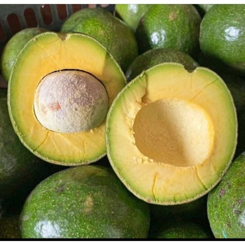 

Alpukat Mentega 1 buah