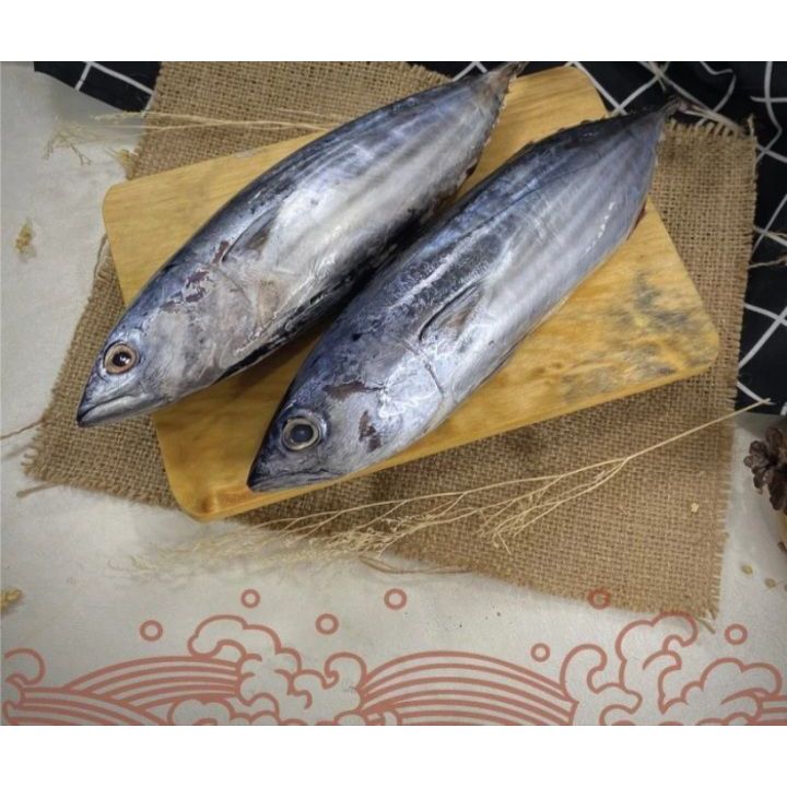 

Ikan Baby Tuna / Tuna Kecil | Frozen Beku Utuh 1KG