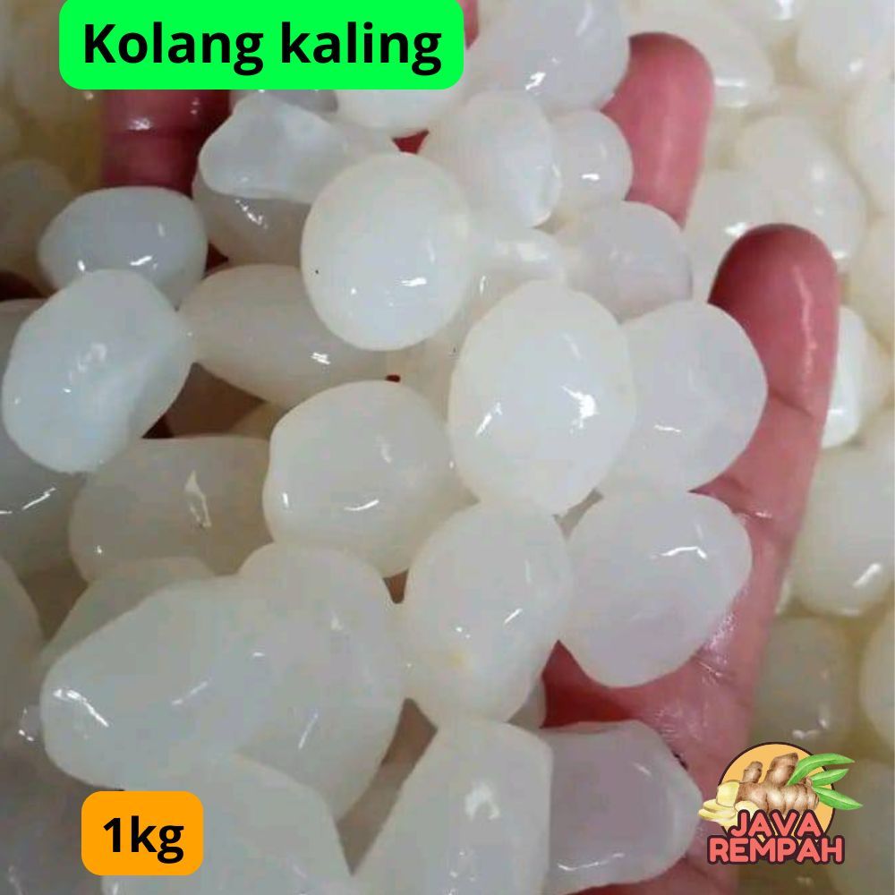 

Kolang Kaling Super Buah Atep Segar 1jg