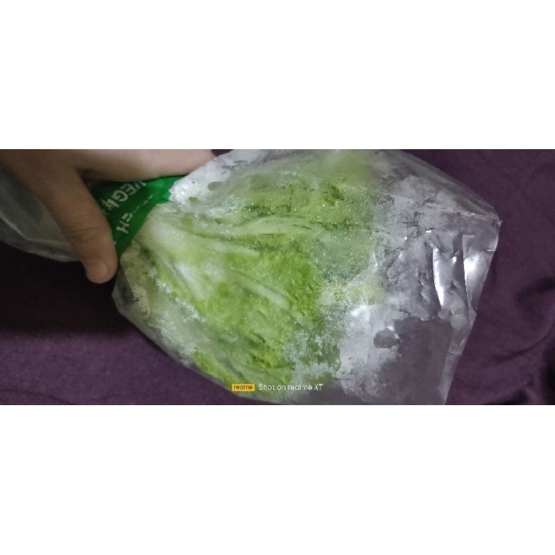 

Daun Selada