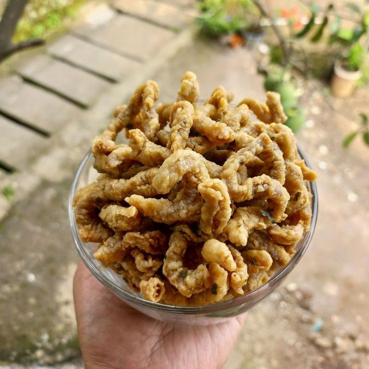 

Keripik Usus Crispy 400gr Gurih Original