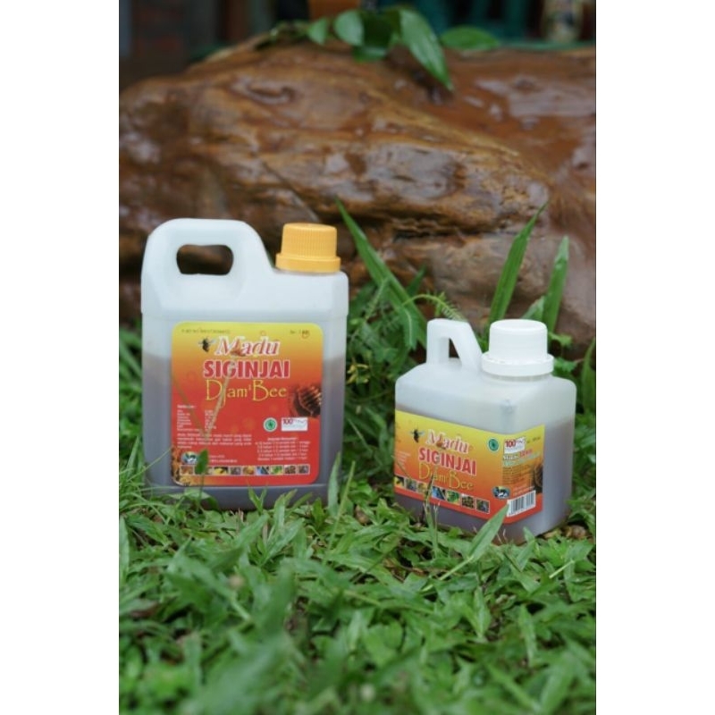 

Madu Asli Siginjai Djambee Grade Ekspor Super Kental