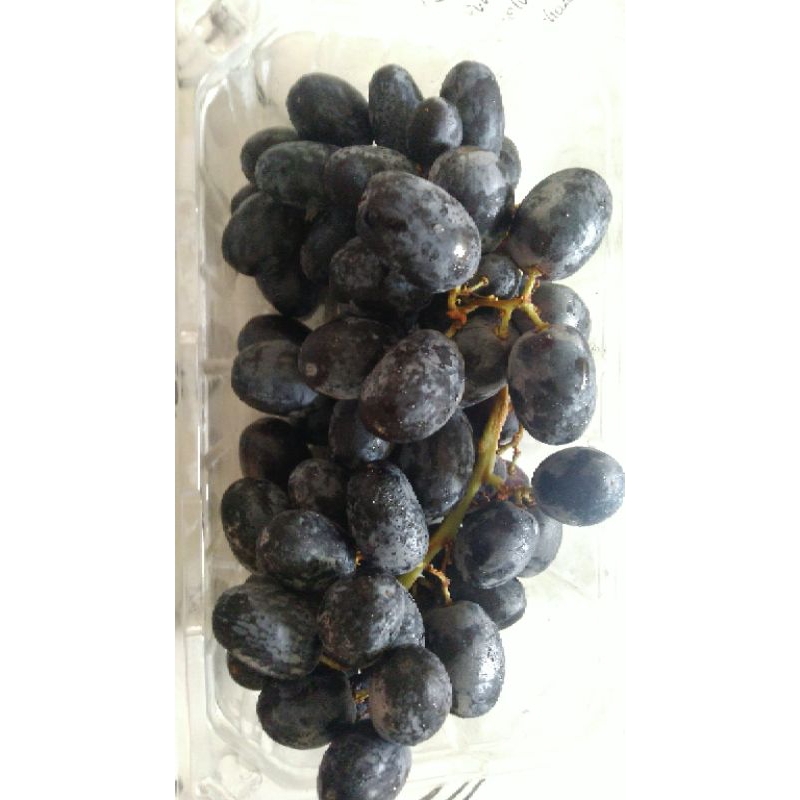 

Grape Hitam Non Biji