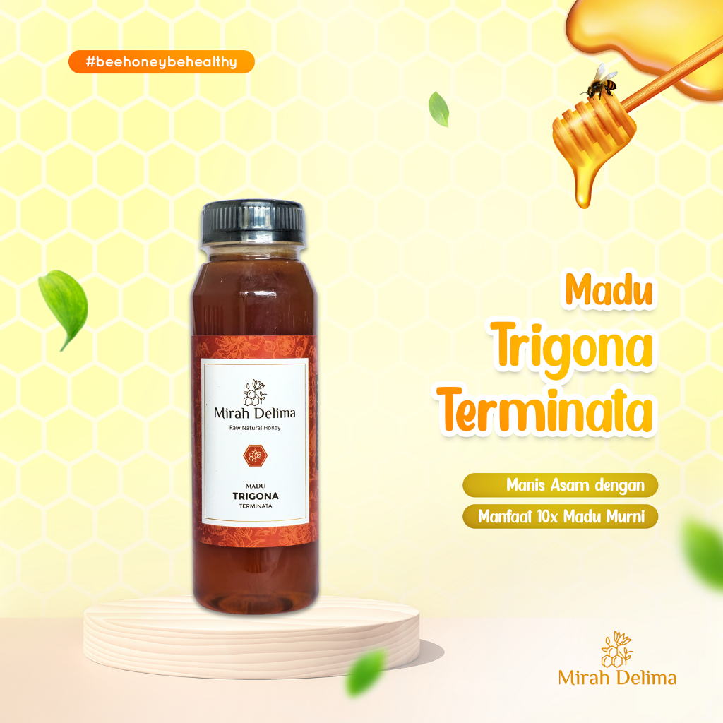 

Madu Klanceng - Trigona Terminata - 250 ml