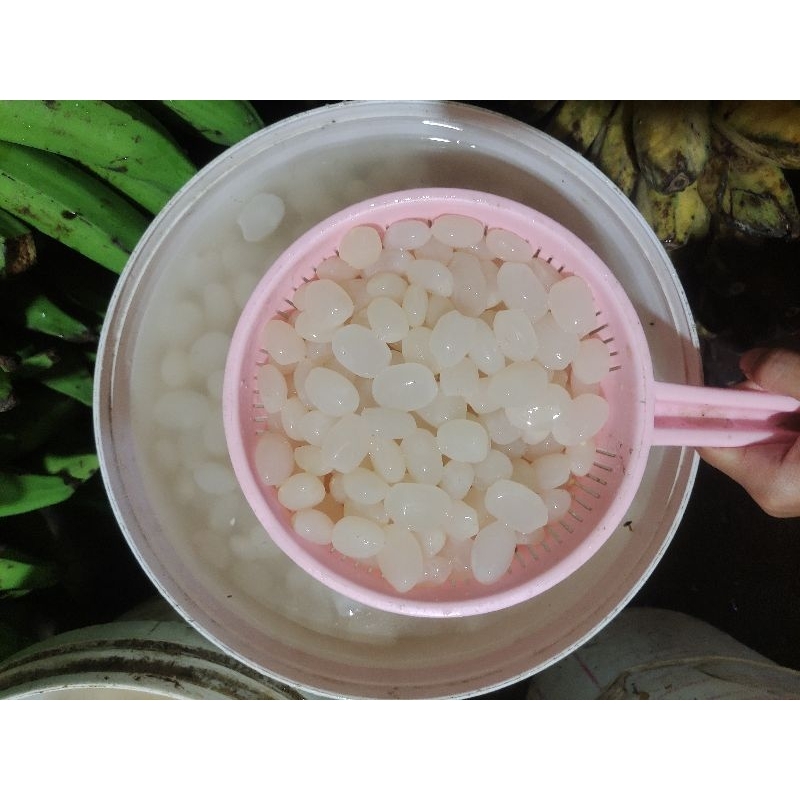

Kolang Kaling/Caruluk fresh || harga per 500 gram || GrosirTani.id