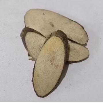 

Ban Lan Gen (Iris)/板蓝根/Isatis Indigotica Fort