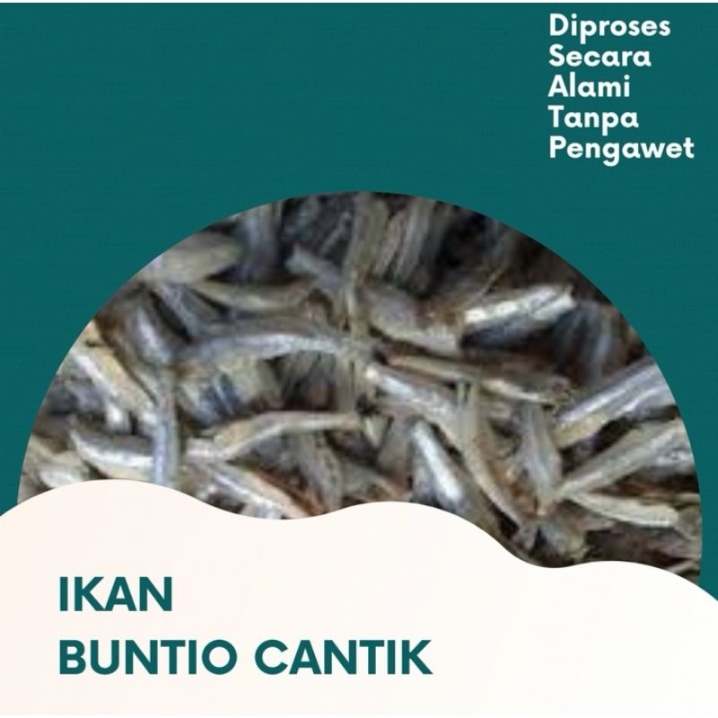 

IKAN TERI BUNTIO CANTIK