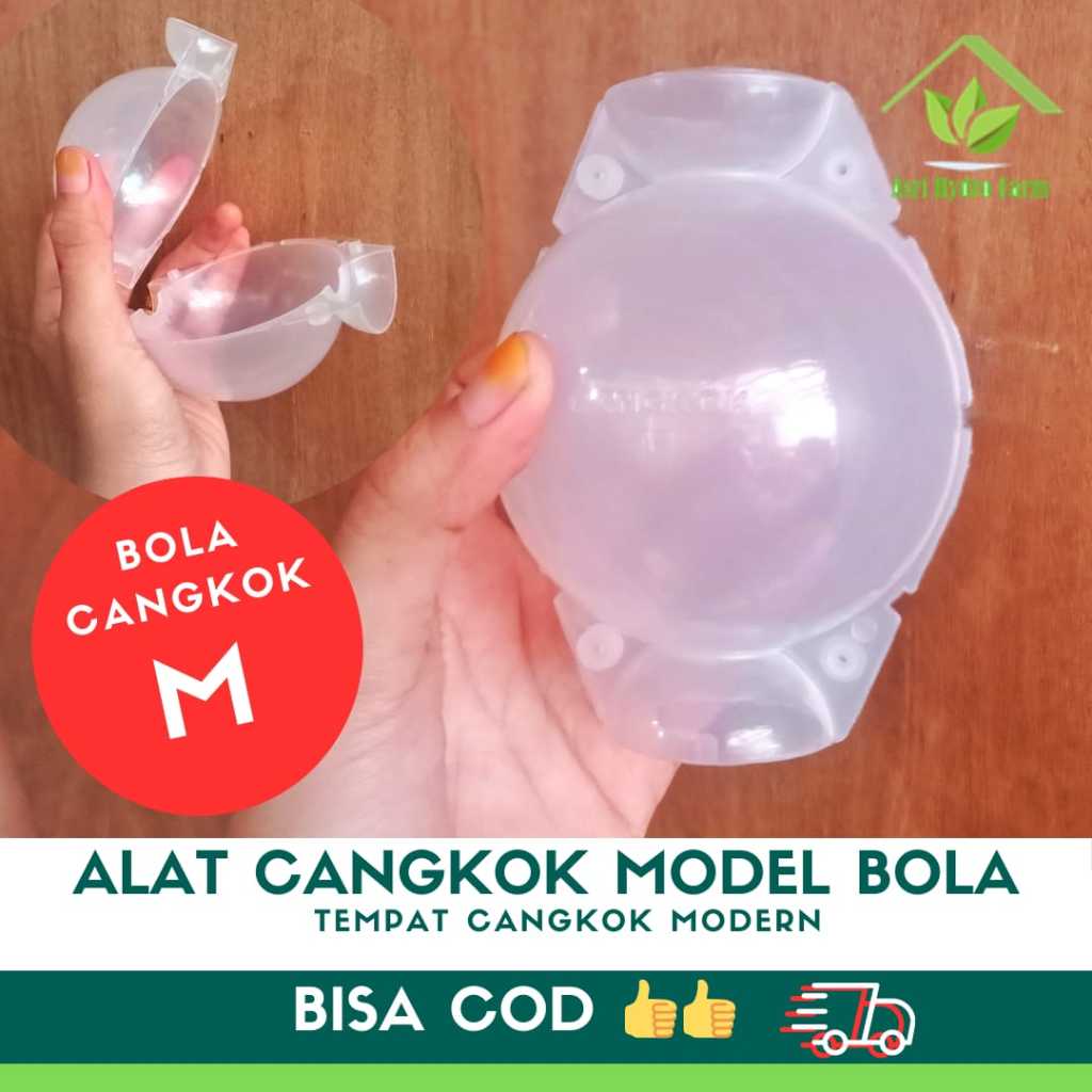ALAT CANGKOK MODEL BOLA UKURAN M bola cangkok plastik ukuran M Instant Bening BOLA CANGKOK M