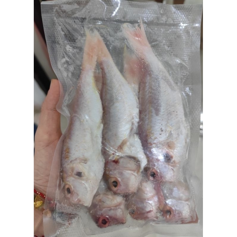 

Ikan Krisi 500gr