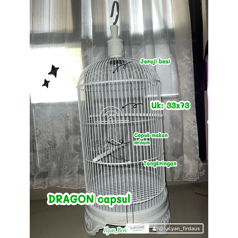 SANGKAR BESI DRAGON CAPSUL