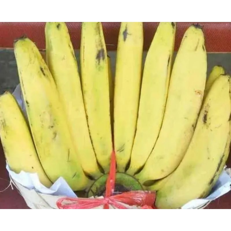 

pisang Ambon 1 sisir full