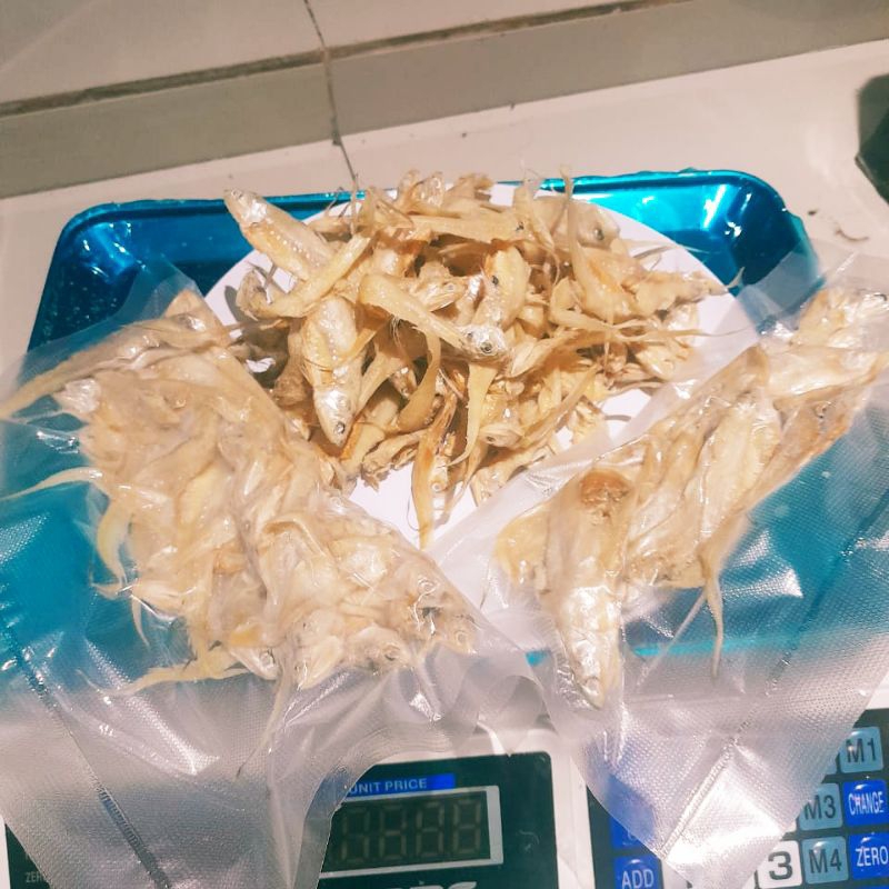 

ikan asin bulu ayam premium