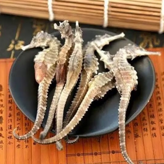 

Hai Ma/海马/Hippocampus